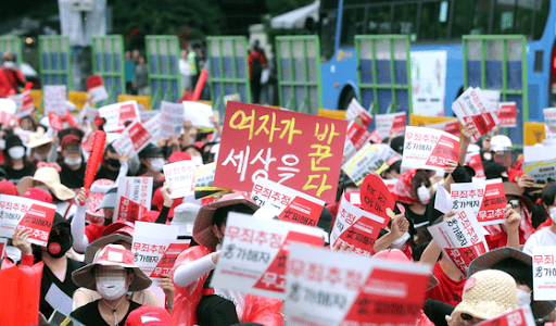 숲은깊고아름다운데_이미지