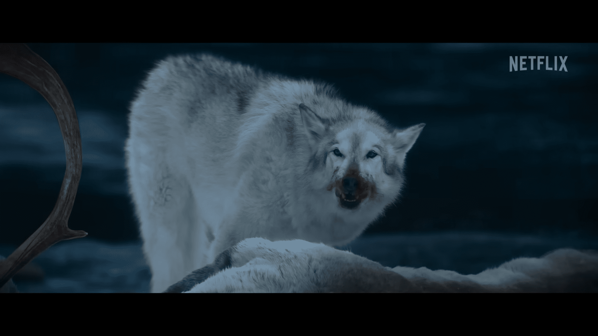 내_이름은_마더_이미지